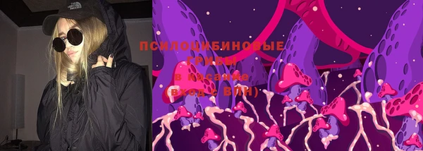 хмурый Ельня