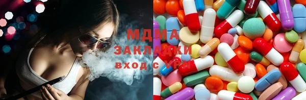 хмурый Ельня