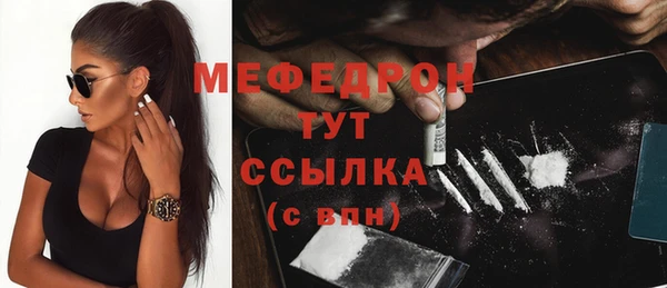 хмурый Ельня