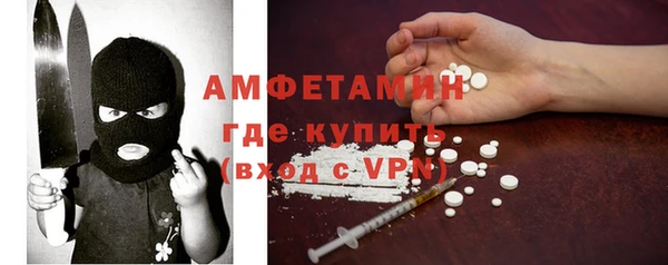 хмурый Ельня