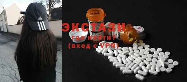 хмурый Ельня