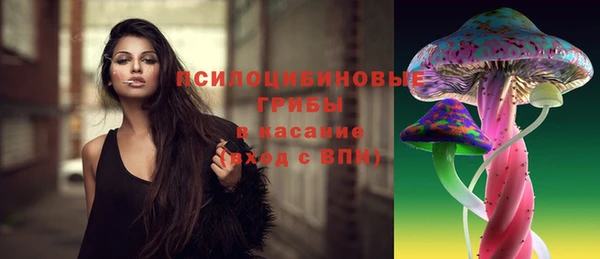 твердый Елабуга