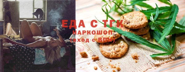 хмурый Ельня