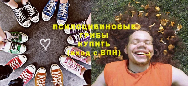хмурый Ельня