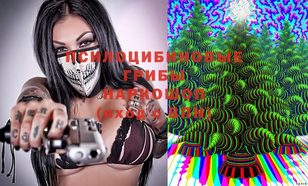 твердый Елабуга