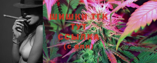 хмурый Ельня