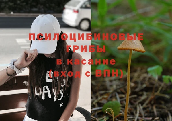 твердый Елабуга