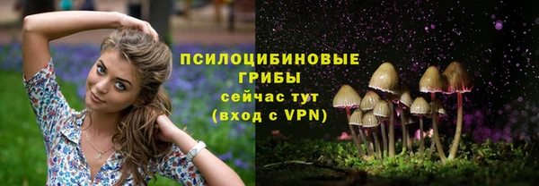 герыч Елизово