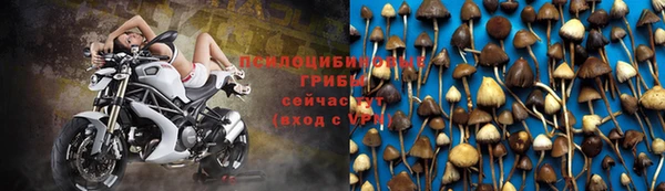 хмурый Ельня